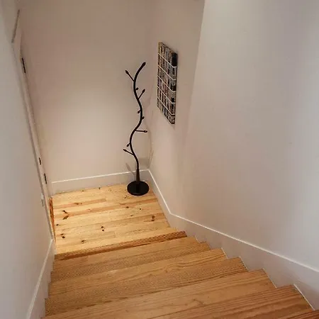 Lägenhet Penthouse 204